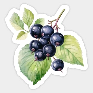 Blackcurrant Design Sticker